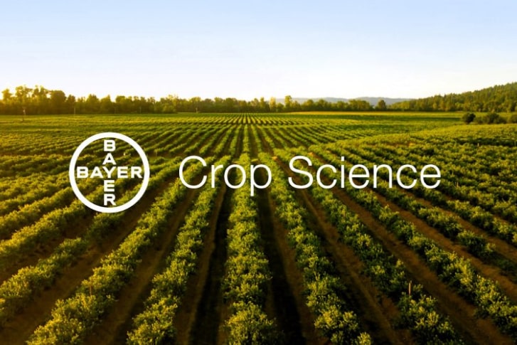 Revolutionizing Agricultural Market Analysis